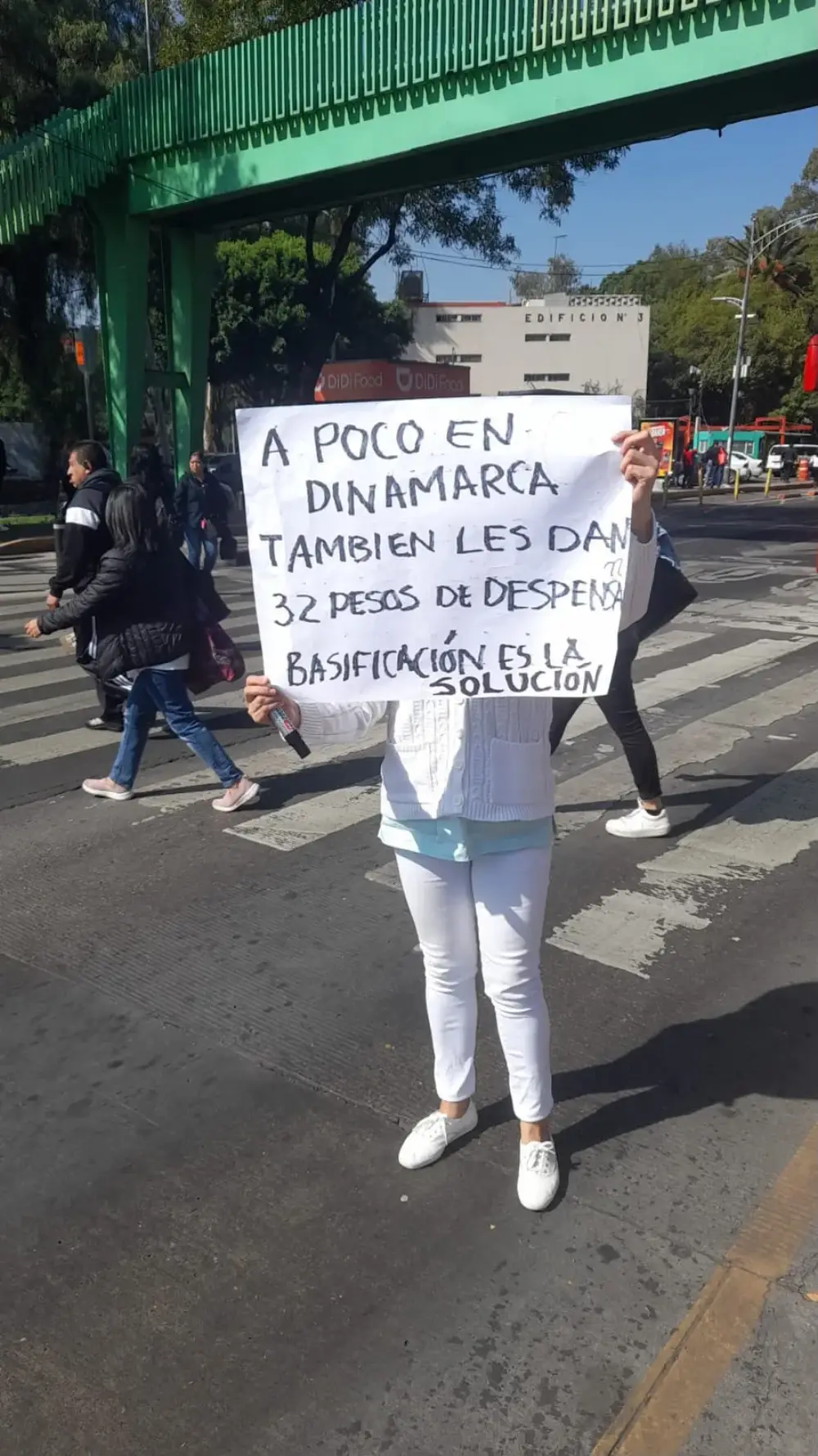 Exigencia de basificación